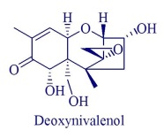 Strukturformel: Deoxynivalenol