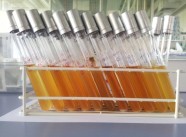 Anreicherung von <i>Clostridium botulinum</i>: Kultur einer Verdünnungsreihe von Keimträger-Material