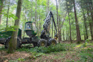 Der Harvester fällt einen Baum.